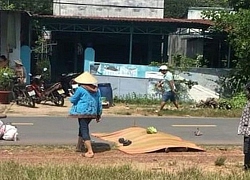 Tông vào con bò băng qua đường, hai vợ chồng thương vong