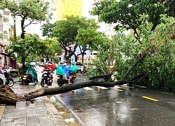 'Văn bản khẩn' cho HS Đà Nẵng nghỉ học do mưa bão là giả