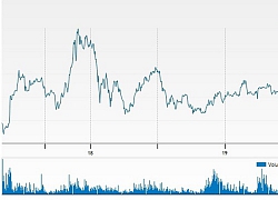 Cổ phiếu bị cắt margin, Petrolimex 'bay hơi' 2.300 tỷ, HAG 'nhẹ nhàng' hơn