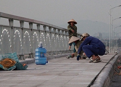 Hải Phòng: Chuẩn bị thông cầu "cánh chim biển" có hình dáng độc, lạ hơn 2.000 tỷ đồng