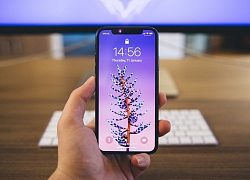 iPhone không hổ danh là "vua lật kèo": 3 lần bị dìm xuống đáy vẫn comeback dễ như trở bàn tay