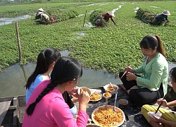 Lần đầu làm món mì ý xào với thịt ăn trên cánh đồng rau nhút xanh bát ngát