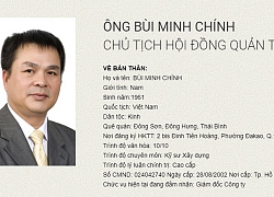 Petroland miễn nhiệm chức danh Chủ tịch HĐQT của ông Bùi Minh Chính