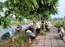 Ra quân chỉnh trang các tuyến phố chào mừng 65 năm Ngày Giải phóng Thủ đô