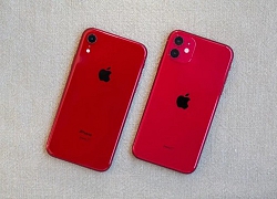 Test chán chê để thấy iPhone XR vẫn đáng "đồng tiền bát gạo" hơn iPhone 11?