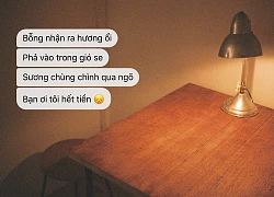 Thời này khi mà đòi nợ cũng cần thanh lịch, thật sự mới thấy quý 12 năm học Văn cuối cùng đã có ích rồi!