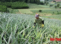 "Tự soi, tự sửa" ở Đảng bộ huyện Hà Trung