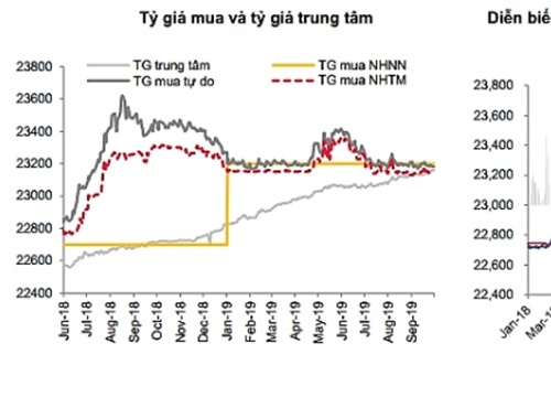 VND - Đồng tiền hiếm hoi giữ giá ổn định từ đầu năm đến nay