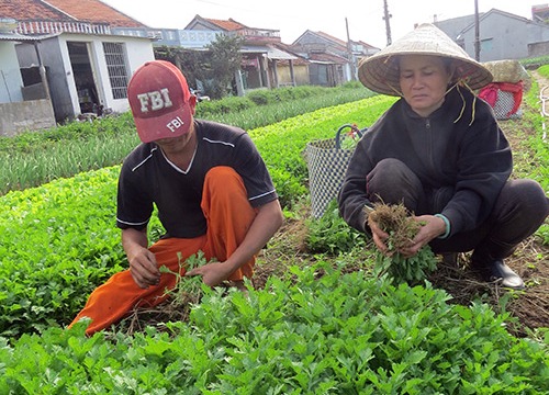 10 năm nông thôn mới ở Phú Yên: Ngày càng văn minh, hiện đại