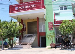 Bắt nguyên Giám đốc, Phó Giám đốc Phòng Giao dịch Agribank Ninh Diêm