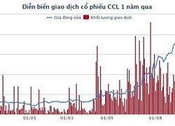 CCL: Cổ phiếu tăng gần 3 lần từ đầu năm, Công ty chuẩn bị trả cổ tức 5%