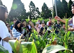 Chuyến trải nghiệm khơi gợi hứng thú, giúp sinh viên "định hướng nghề nghiệp"