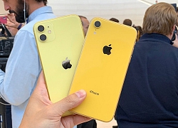 Đang dùng iPhone XR có nên nâng cấp lên iPhone 11 ?