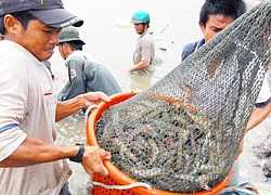 Không khí lạnh mạnh đang tràn xuống miền bắc