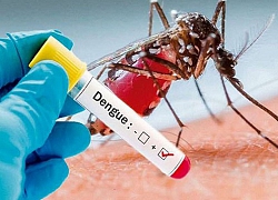 Kon Tum: Một trường hợp tử vong do sốt xuất huyết Dengue