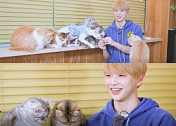 Loạt ảnh chứng minh đến thần tượng như Kang Daniel cũng chỉ là 'con sen' của các boss