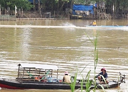 Mùa cá ra sông, nhộn nhịp ở Đồng Tháp