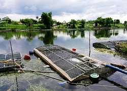 Người đàn ông bị điện giật tử vong ở lồng cá trên sông