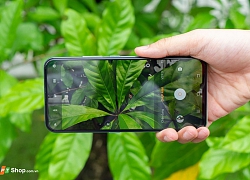 Nhẹ nhàng mùa thu cùng Vivo V17 Pro