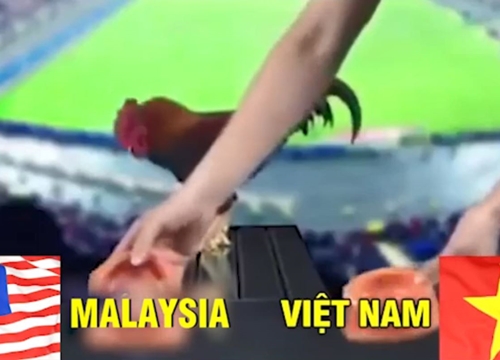 Thần kê "lên đĩa" chỉ vì dám dự đoán Malaysia thắng Việt Nam