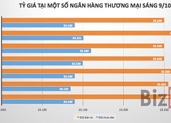 Tỷ giá trung tâm giảm nhẹ