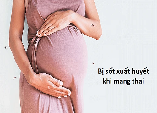 Bà bầu cẩn trọng khi mắc sốt xuất huyết