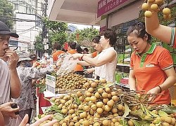 Hẫng hụt xuất khẩu rau quả