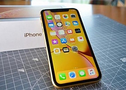 iPhone XR giá rẻ hơn cả iPhone 7 Plus, ồ ạt về Việt Nam