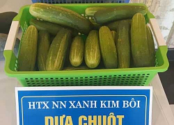 "Mở cửa" cho đặc sản xứ Mường vào chuỗi siêu thị Vinmart