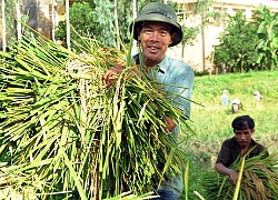 Nguy cơ xảy ra lũ quét, sạt lở đất ở các tỉnh vùng núi Bắc Bộ