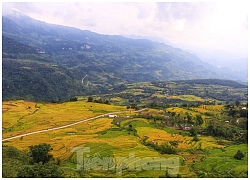 Những cánh dù bay trên biển mây Hồng Thái, Tuyên Quang