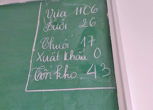 Những khung báo sĩ số lớp học nhìn vào chỉ muốn "truyền thái y" ngay vì concept sáng tạo đến kinh ngạc!