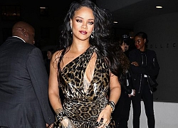 Rihanna xinh đẹp với váy da báo xẻ sâu