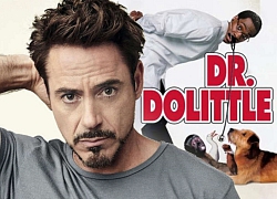 Robert Downey Jr. dấn thân vào cuộc thám hiểm phi thường trong phim Tết 'Bác sĩ Dolittle: Chuyến phiêu lưu thần thoại'