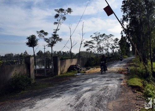 Tiêu hủy trên 161 tấn lợn trong một ngày ở Nghệ An