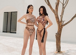 'Cô dâu' kém 24 tuổi của Ngọc Sơn diện bikini bốc lửa