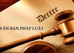 Doanh nghiệp lo "lộ bí mật" nếu giảm tỷ lệ cổ phần có quyền tiếp cận thông tin