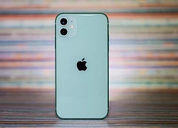 Giá iPhone 11 chạm đáy tại Việt Nam, 13 triệu đã có thể mua