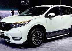 Honda Việt Nam mang dàn ô tô thể thao tới VMS 2019