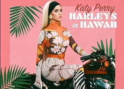 Katy Perry hé lộ tạo hình trong MV Harley's In Hawaii sắp ra mắt, fan chỉ thấy... khó thở dùm