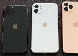 Không ngờ là iPhone 11, iPhone 11 Pro và 11 Pro Max bán chạy thế