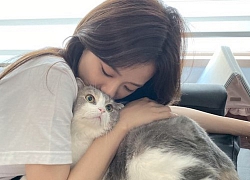 Ngọt ngào khoảnh khắc Jisoo âu yếm chú mèo của Lisa