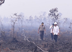 Nhiều trường học ở Indonesia tiếp tục đóng cửa do khói bụi cháy rừng