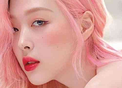 Sulli: Hoa tuyết lê tàn lụi ở tuổi 25 vì miệng lưỡi người đời