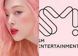 Sulli từng nhiều lần cầu cứu SM trước khi xảy ra vụ tự tử, nhưng vì lý do gì công ty này không thể giải quyết?