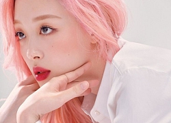 Sulli từng rút đơn kiện một anti-fan khi biết người đó còn đi học, netizen đau xót: Họ đã làm gì với một cô gái thánh thiện thế này?