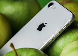 Tin được không, iPhone thế hệ tiếp theo sẽ có giá bán rẻ hơn iPhone 8?