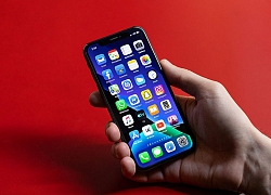 50% iPhone trên thị trường đã cập nhật lên iOS 13