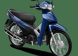 Doanh số xe máy 6 tháng đầu năm 2019: Honda độc chiếm thị phần Việt Nam