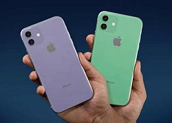 iPhone 11: Flagship giá phải chăng Apple có gì đáng mua?